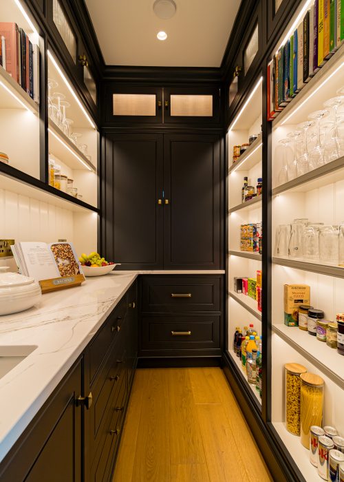 Hidden Kitchen Pantry